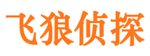 百色市私家侦探